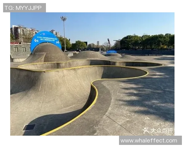 上海滑板队的管理模式与发展趋势深度解析