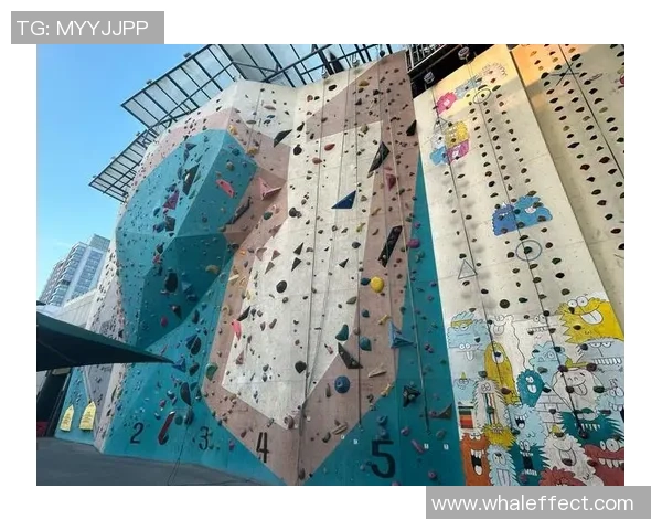 上海攀岩队强势夺冠最新攀岩力量TOP10榜单揭晓