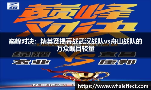 球速体育登录