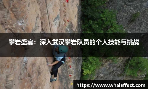 球速体育登录