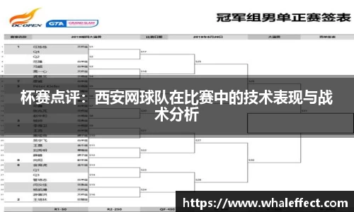 球速体育官方网站