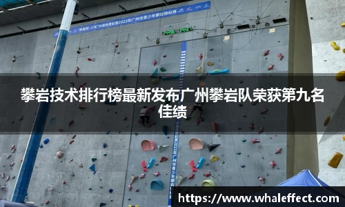 球速体育登录