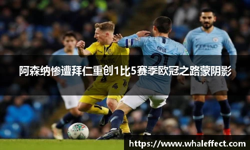 球速体育APP