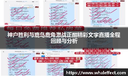 球速体育登录