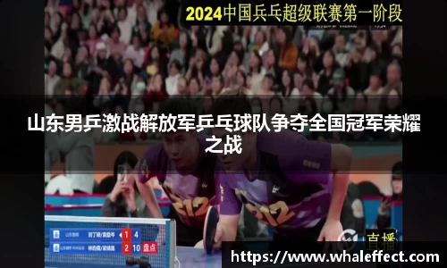 球速体育官方网站