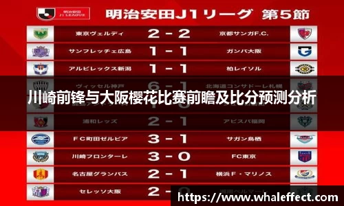 球速体育登录