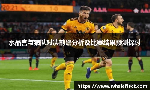 球速体育平台