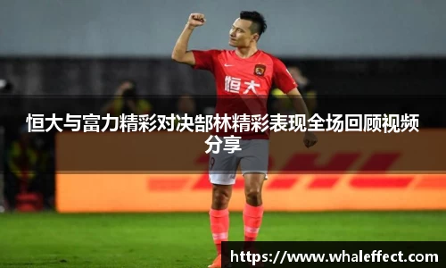 球速体育平台