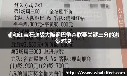 球速体育APP