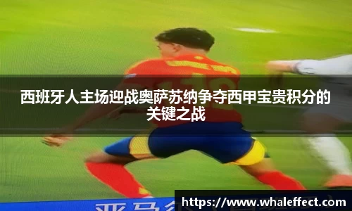 球速体育官方网站